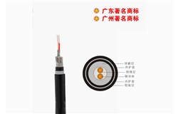 DJYPVP22-300/500V控制電纜 DJYPVP22-300/500V控制電纜